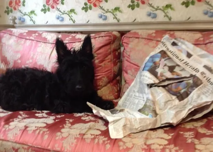 Caron De Beaumarchais باريس